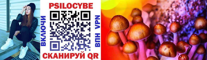 Псилоцибиновые грибы Cubensis  Брюховецкая 